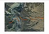 Aerial map with Trail